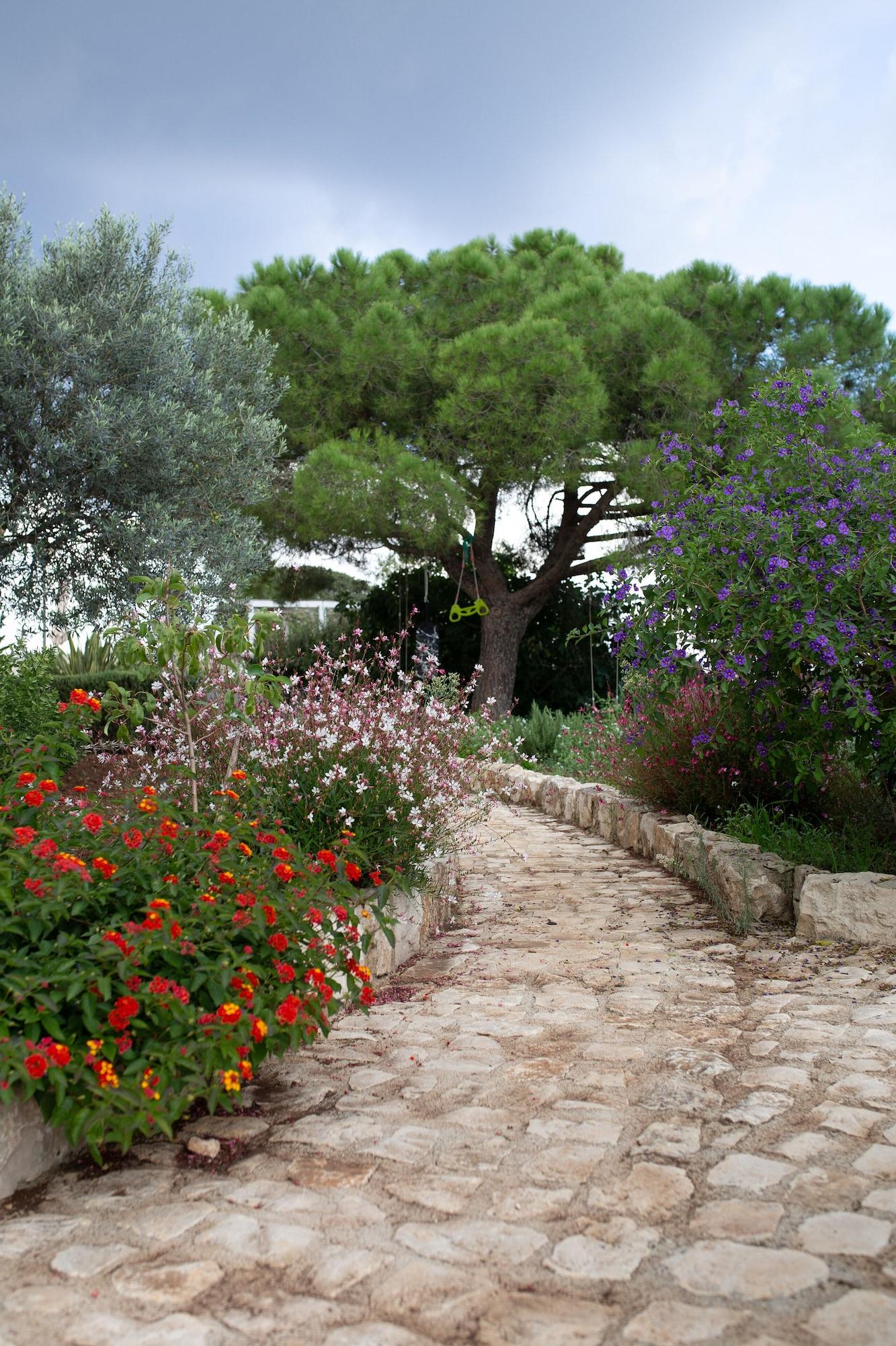 Artemisia Resort Puntarazzi Bagian luar foto